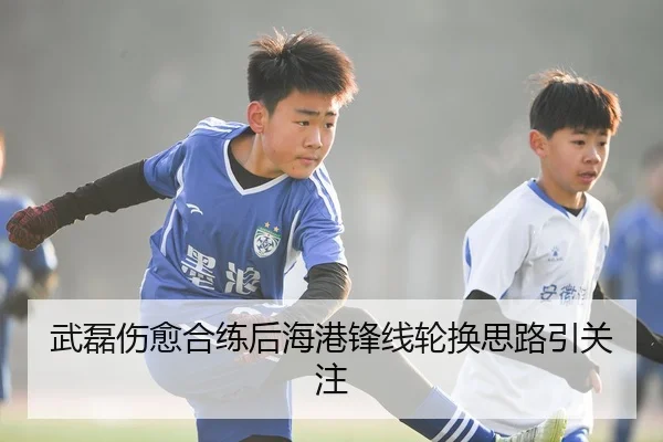 武磊伤愈合练后海港锋线轮换思路引关注
